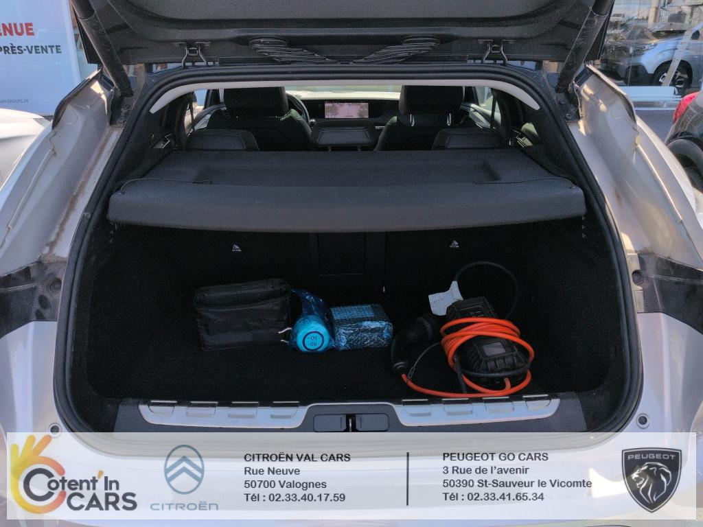 Ds DS 4 (2) E-TENSE 225 PERFORMANCE LINE + AUTO