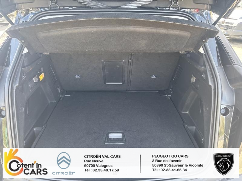 Peugeot 3008 (2) BlueHDi 130 S&S EAT8 ACTIVE BUSINESS