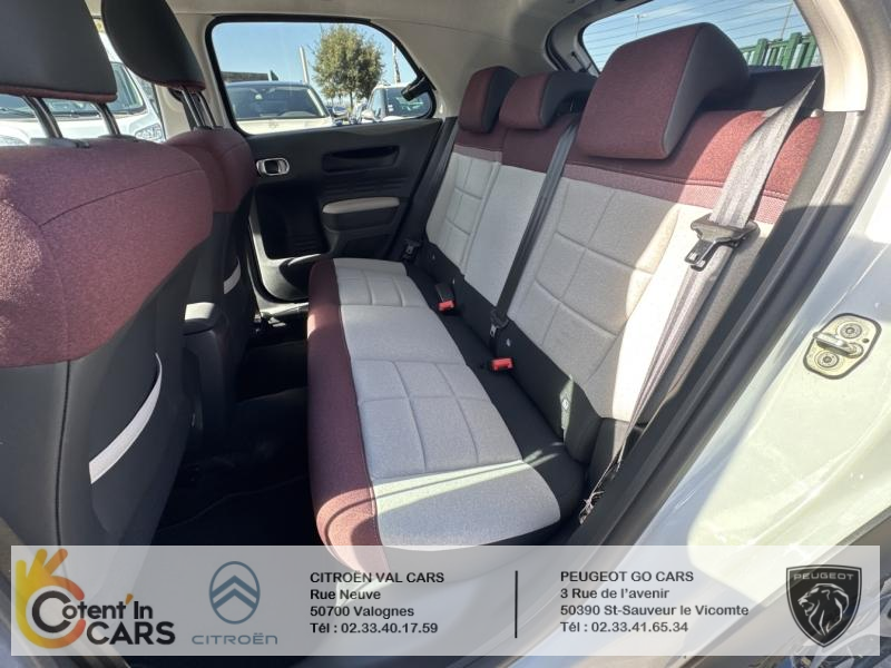Citroën C4 Cactus BlueHDi 100 S&S BVM6 Shine Business