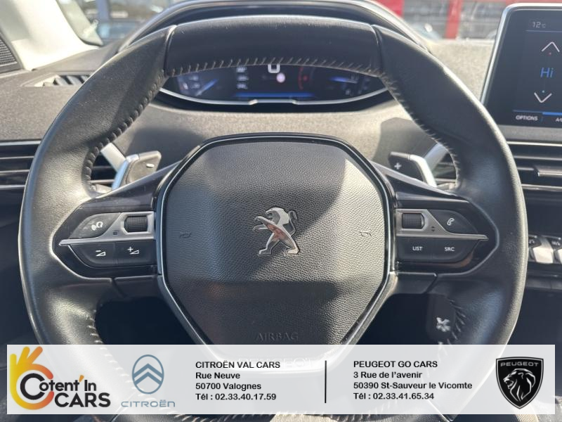 Peugeot 3008 (2) BlueHDi 130 S&S EAT8 ACTIVE BUSINESS